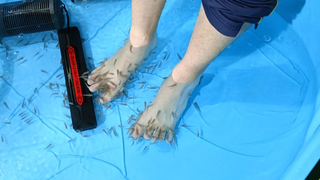 ドクターフィッシュが足に群がる体験の様子