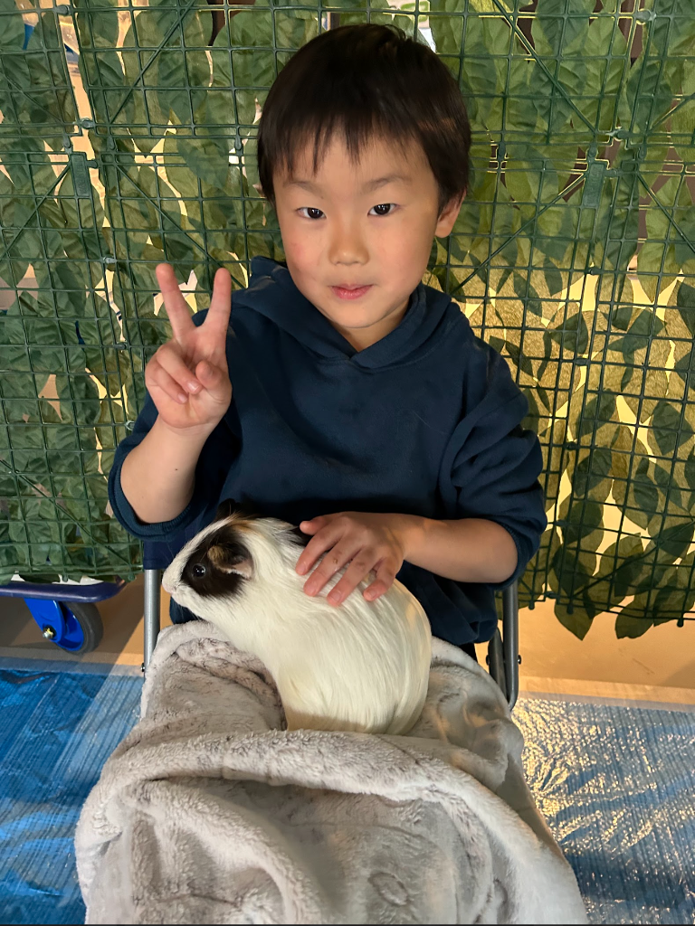 小動物ふれあいコーナーでモルモットを抱っこする男の子