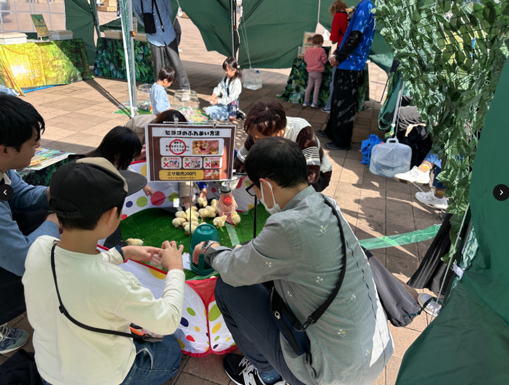 ひよこふれあい体験:親子がひよこに触れる様子。「ヒヨコのふれあい方法」掲示板も設置