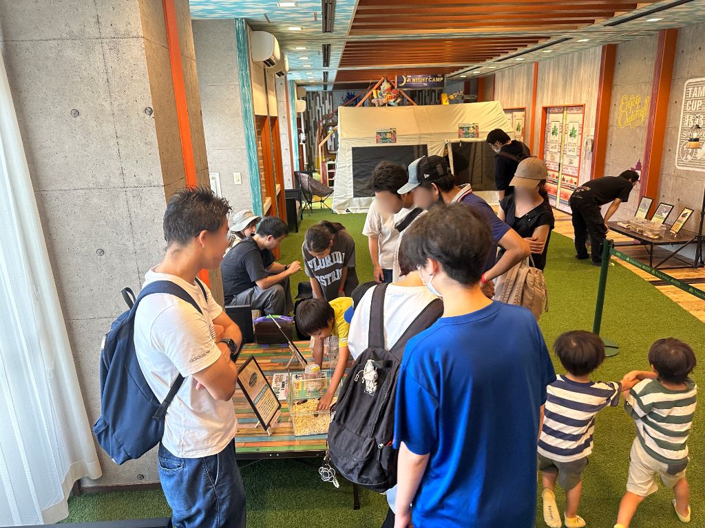 京都府商業施設で昆虫キャンプ展を夏休み40日間開催