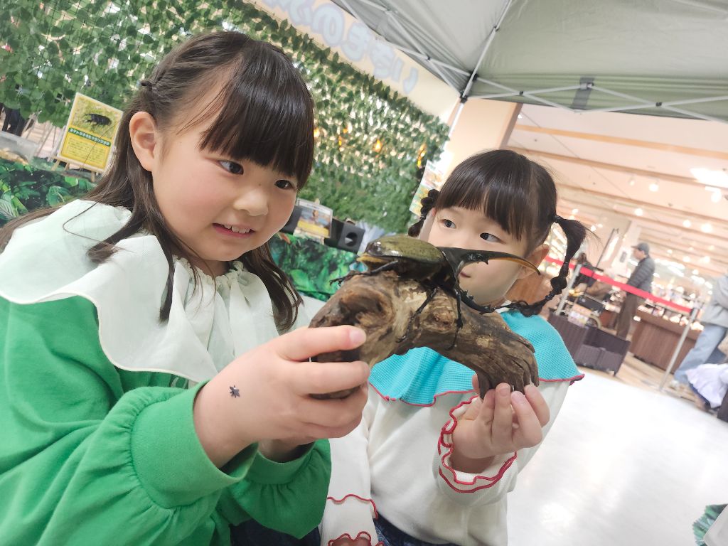 ヘラクレスオオカブトを手に乗せて観察する子ども。イズミヤ学園前の昆虫ゾーンでのふれあい体験