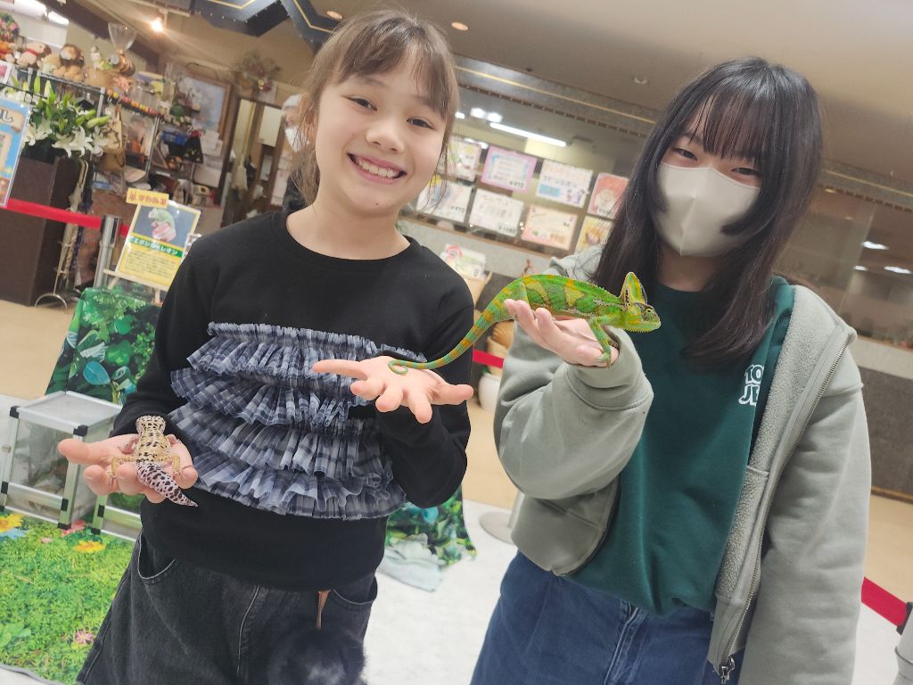 爬虫類ゾーンでヒョウモントカゲモドキやサソリを観察する来場者。イズミヤ学園前いきものヒーローズ