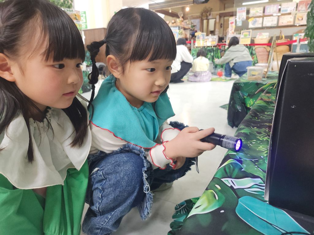 UVライトで蛍光する生き物を観察する来場者。イズミヤ学園前いきものヒーローズ
