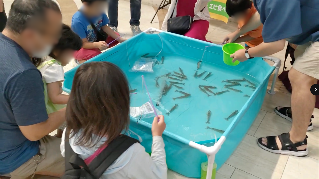 エビ釣り体験 – 釣って食べられる