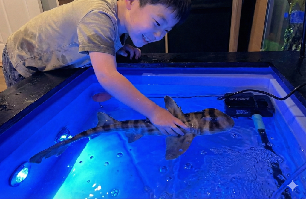 さわれる水族館 – サメやヒトデにタッチ