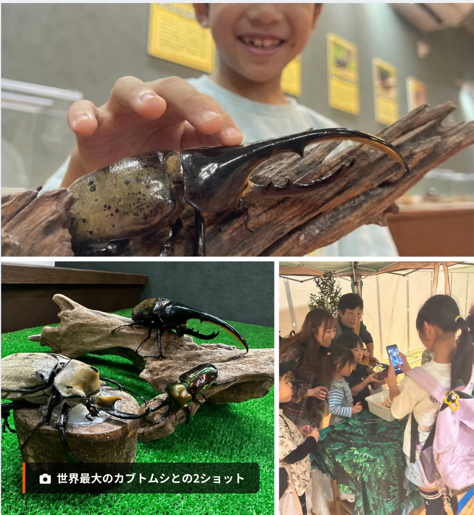 昆虫の森 – ヘラクレスオオカブトとふれあい体験