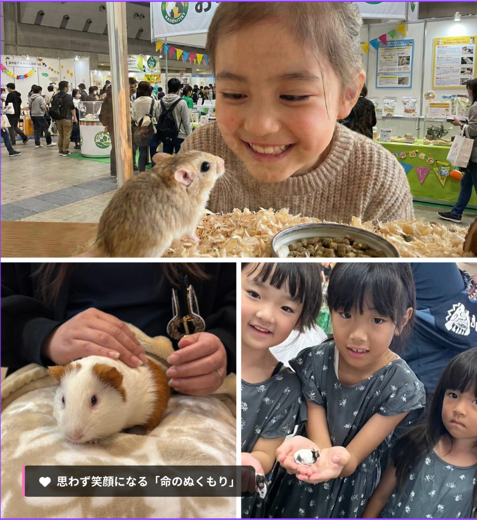 ふれあい牧場 – 小動物とのふれあい